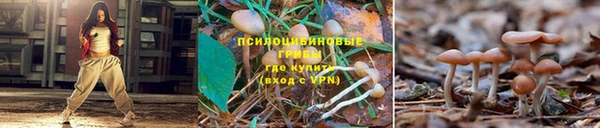 кокаин Медвежьегорск