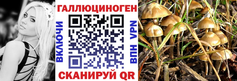 даркнет сайт  Серафимович  OMG tor  Галлюциногенные грибы мухоморы 